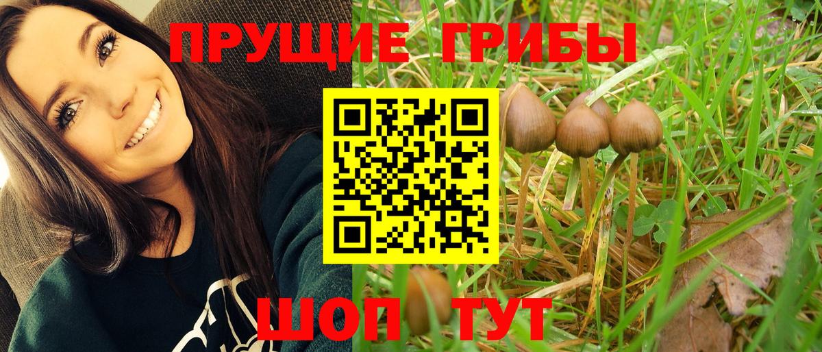 Северск  Галлюциногенные грибы мицелий  Вход с VPN  Псилоцибиновые грибы ЛСД 