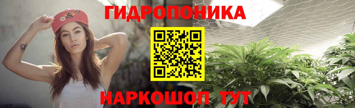 МАРИХУАНА OG Kush Северск
